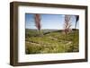 Landscape in the Cenral Sierras Mountains, Cordoba Province, Argentina, South America-Yadid Levy-Framed Photographic Print