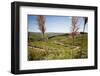 Landscape in the Cenral Sierras Mountains, Cordoba Province, Argentina, South America-Yadid Levy-Framed Photographic Print