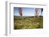 Landscape in the Cenral Sierras Mountains, Cordoba Province, Argentina, South America-Yadid Levy-Framed Photographic Print