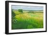 Landscape in the Deverells, Wiltshire, 2010-Peter Breeden-Framed Giclee Print