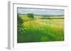 Landscape in the Deverells, Wiltshire, 2010-Peter Breeden-Framed Giclee Print