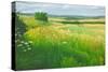 Landscape in the Deverells, Wiltshire, 2010-Peter Breeden-Stretched Canvas
