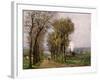 Landscape in the Ile de France, c.1878-Armand Guillaumin-Framed Giclee Print