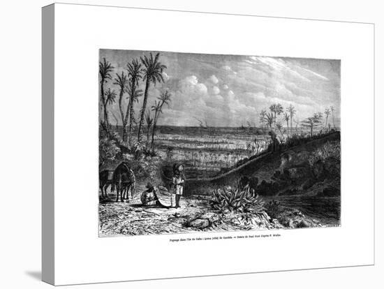 Landscape in the Island of Cuba, 1859-Paul Huet-Stretched Canvas