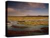 Landscape in the Isluga Area of the Atacama Desert, Chile, South America-Mcleod Rob-Stretched Canvas