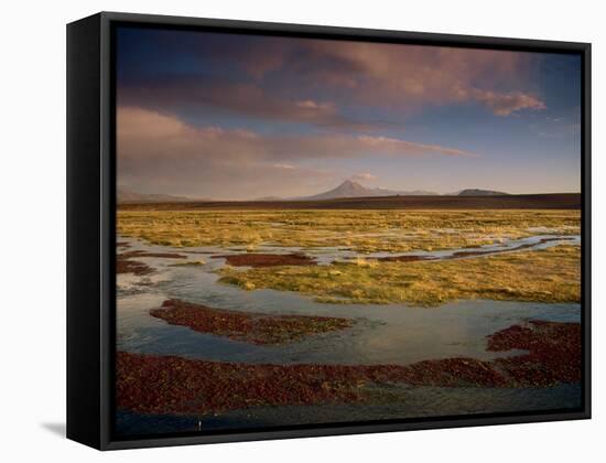 Landscape in the Isluga Area of the Atacama Desert, Chile, South America-Mcleod Rob-Framed Stretched Canvas