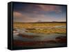 Landscape in the Isluga Area of the Atacama Desert, Chile, South America-Mcleod Rob-Framed Stretched Canvas