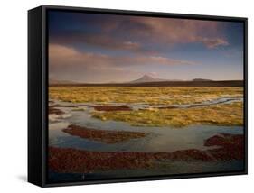 Landscape in the Isluga Area of the Atacama Desert, Chile, South America-Mcleod Rob-Framed Stretched Canvas