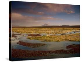 Landscape in the Isluga Area of the Atacama Desert, Chile, South America-Mcleod Rob-Stretched Canvas