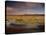 Landscape in the Isluga Area of the Atacama Desert, Chile, South America-Mcleod Rob-Stretched Canvas