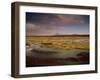 Landscape in the Isluga Area of the Atacama Desert, Chile, South America-Mcleod Rob-Framed Photographic Print