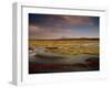 Landscape in the Isluga Area of the Atacama Desert, Chile, South America-Mcleod Rob-Framed Photographic Print