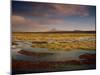 Landscape in the Isluga Area of the Atacama Desert, Chile, South America-Mcleod Rob-Mounted Photographic Print