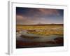 Landscape in the Isluga Area of the Atacama Desert, Chile, South America-Mcleod Rob-Framed Photographic Print