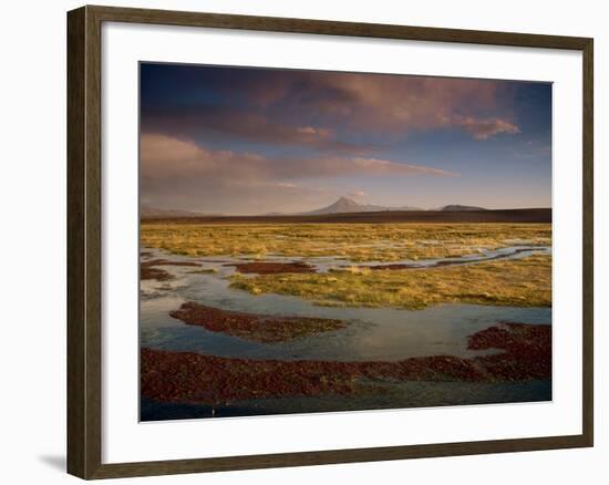 Landscape in the Isluga Area of the Atacama Desert, Chile, South America-Mcleod Rob-Framed Photographic Print