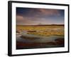 Landscape in the Isluga Area of the Atacama Desert, Chile, South America-Mcleod Rob-Framed Photographic Print