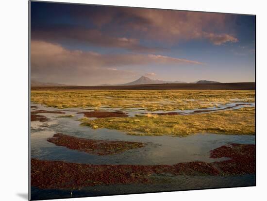 Landscape in the Isluga Area of the Atacama Desert, Chile, South America-Mcleod Rob-Mounted Photographic Print