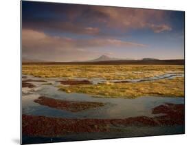 Landscape in the Isluga Area of the Atacama Desert, Chile, South America-Mcleod Rob-Mounted Photographic Print