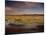 Landscape in the Isluga Area of the Atacama Desert, Chile, South America-Mcleod Rob-Mounted Photographic Print