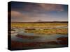 Landscape in the Isluga Area of the Atacama Desert, Chile, South America-Mcleod Rob-Stretched Canvas