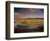 Landscape in the Isluga Area of the Atacama Desert, Chile, South America-Mcleod Rob-Framed Photographic Print