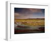 Landscape in the Isluga Area of the Atacama Desert, Chile, South America-Mcleod Rob-Framed Photographic Print