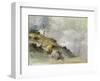 Landscape in the Mountains-Friedrich Gauermann-Framed Collectable Print