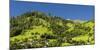 Landscape in the Prättigau in the evening light-enricocacciafotografie-Mounted Photographic Print