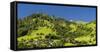 Landscape in the Prättigau in the evening light-enricocacciafotografie-Framed Stretched Canvas