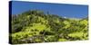 Landscape in the Prättigau in the evening light-enricocacciafotografie-Stretched Canvas