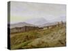 Landscape in the Riesengebirge (Bohemian Landscape), about 1835, Unfinished-Caspar David Friedrich-Stretched Canvas