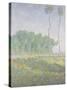 Landscape in the Spring (Giverny)-Claude Monet-Stretched Canvas