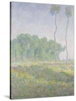 Landscape in the Spring (Giverny)-Claude Monet-Stretched Canvas