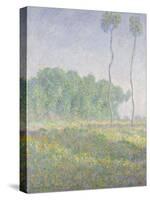 Landscape in the Spring (Giverny)-Claude Monet-Stretched Canvas