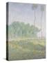 Landscape in the Spring (Giverny)-Claude Monet-Stretched Canvas