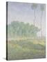 Landscape in the Spring (Giverny)-Claude Monet-Stretched Canvas