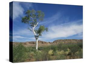 Landscape in the West Macdonnell Ranges Near Alice Springs in the Northern Territory, Australia-Wilson Ken-Stretched Canvas