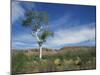 Landscape in the West Macdonnell Ranges Near Alice Springs in the Northern Territory, Australia-Wilson Ken-Mounted Photographic Print
