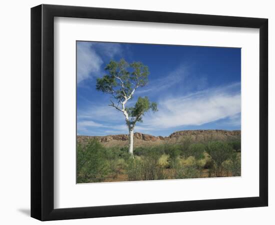 Landscape in the West Macdonnell Ranges Near Alice Springs in the Northern Territory, Australia-Wilson Ken-Framed Photographic Print