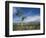 Landscape in the West Macdonnell Ranges Near Alice Springs in the Northern Territory, Australia-Wilson Ken-Framed Photographic Print