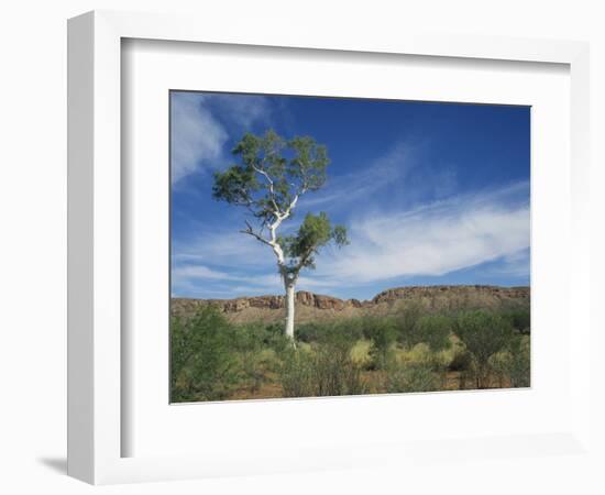 Landscape in the West Macdonnell Ranges Near Alice Springs in the Northern Territory, Australia-Wilson Ken-Framed Photographic Print