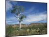 Landscape in the West Macdonnell Ranges Near Alice Springs in the Northern Territory, Australia-Wilson Ken-Mounted Photographic Print
