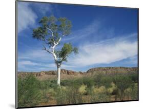 Landscape in the West Macdonnell Ranges Near Alice Springs in the Northern Territory, Australia-Wilson Ken-Mounted Photographic Print