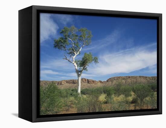 Landscape in the West Macdonnell Ranges Near Alice Springs in the Northern Territory, Australia-Wilson Ken-Framed Stretched Canvas