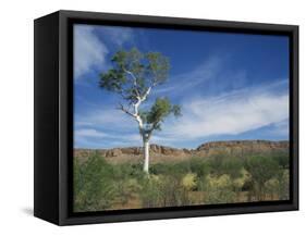 Landscape in the West Macdonnell Ranges Near Alice Springs in the Northern Territory, Australia-Wilson Ken-Framed Stretched Canvas