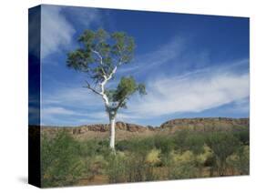 Landscape in the West Macdonnell Ranges Near Alice Springs in the Northern Territory, Australia-Wilson Ken-Stretched Canvas