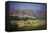 Landscape in Valles Calchaquies on the Road Between Cafayate and Cachi-Yadid Levy-Framed Stretched Canvas