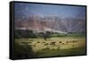 Landscape in Valles Calchaquies on the Road Between Cafayate and Cachi-Yadid Levy-Framed Stretched Canvas