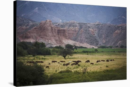 Landscape in Valles Calchaquies on the Road Between Cafayate and Cachi-Yadid Levy-Stretched Canvas