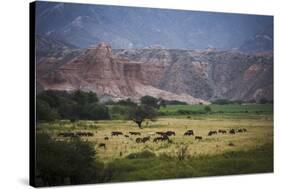 Landscape in Valles Calchaquies on the Road Between Cafayate and Cachi-Yadid Levy-Stretched Canvas